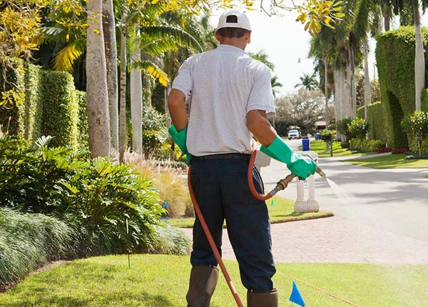 About Frenchville ME Pest Control Pros